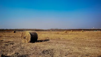 Casino Lucky Pants Bingo Application mobile